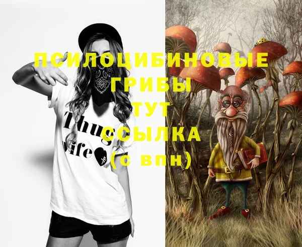 СК Иннополис