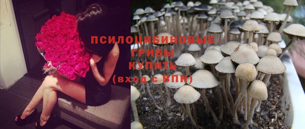 кокаин премиум Снежногорск