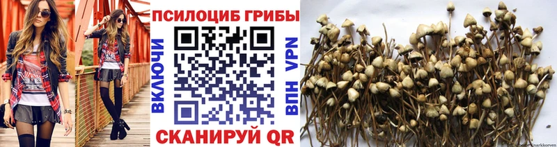 Галлюциногенные грибы Magic Shrooms  наркотики  Спас-Деменск 